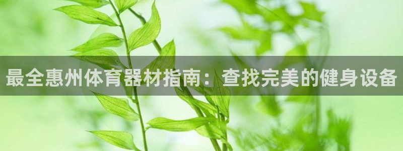 杏鑫天下是不是复仇的意思：最全惠州体育器材指南：查找