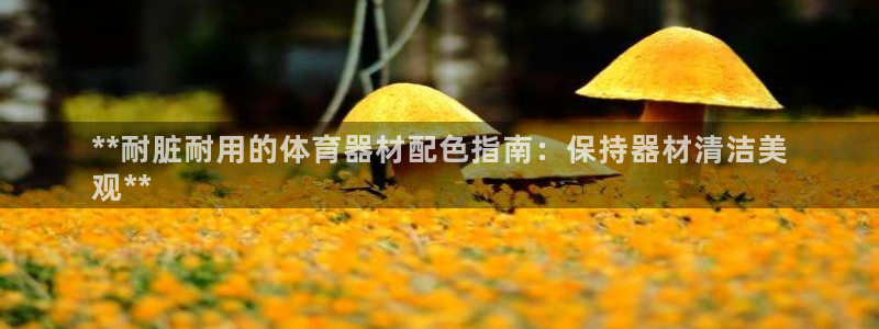 杏鑫娱乐老板是谁：**耐脏耐用的体育器材配色指南：保