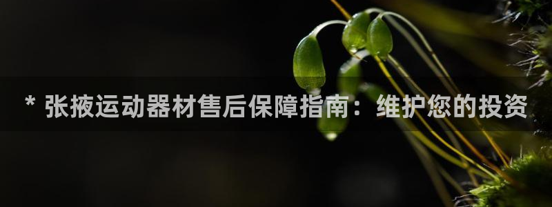 杏鑫挑战第三关怎么打：* 张掖运动器材售后保障指南：