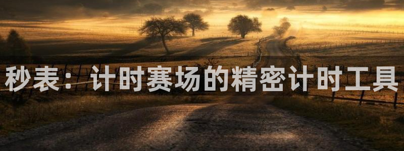 杏鑫娱乐是什么平台：秒表：计时赛场的精密计时工具