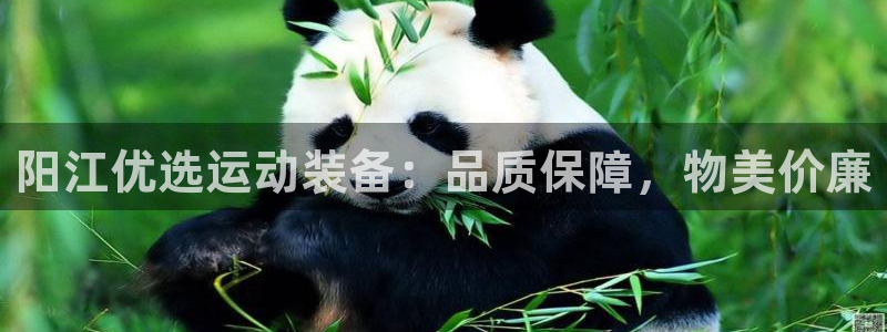 杏鑫登场的图片：阳江优选运动装备：品质保障，物美价廉