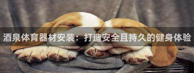 杏鑫娱乐能提现吗现在怎么样：酒泉体育器材安装：打造安