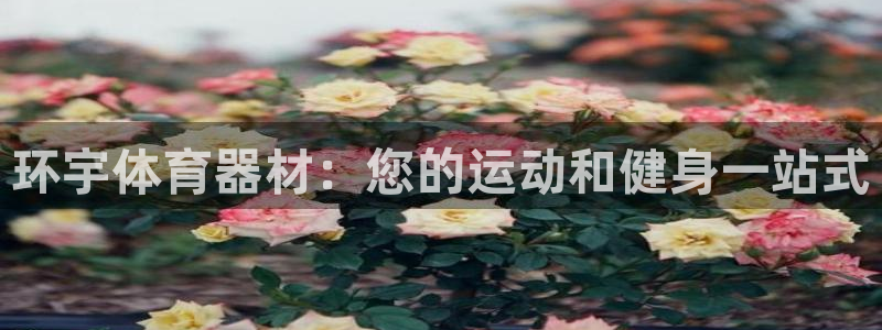 杏鑫娱乐出款快吗是真的吗：环宇体育器材：您的运动和健