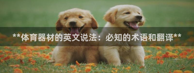 杏鑫娱乐能提现吗现在多少钱：**体育器材的英文说法：