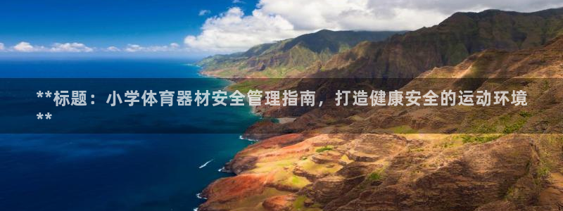 杏鑫天下的微信名字好吗：**标题：小学体育器材安全管