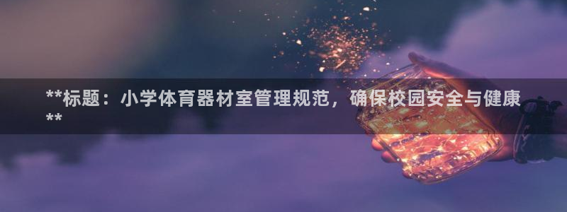 杏鑫集团王大聪：**标题：小学体育器材室管理规范，确保校园安