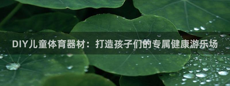 杏鑫平台总代理：DIY儿童体育器材：打造孩子们的专属健康游乐