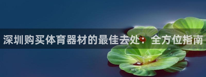 杏鑫娱乐含山县：深圳购买体育器材的最佳去处：全方位指