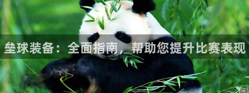 杏鑫娱乐提现失败原因：垒球装备：全面指南，帮助您提升