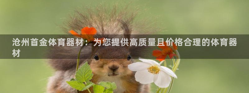 杏鑫平台注册：沧州首金体育器材：为您提供高质量且价格