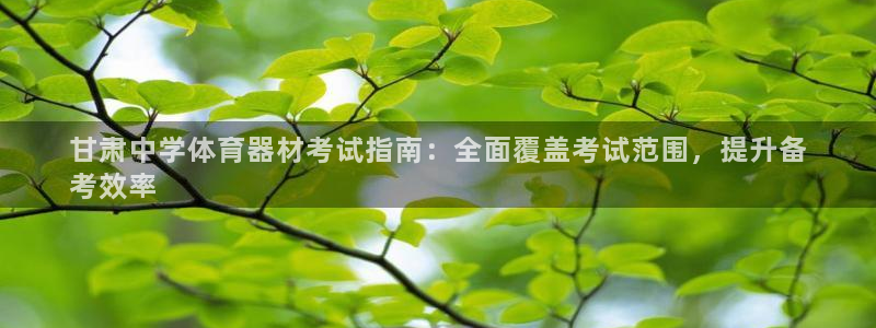 杏鑫盛典下载：甘肃中学体育器材考试指南：全面覆盖考试范围，提